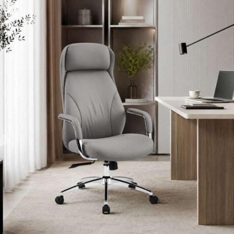 Silla De Director Vison Silla De Director Vison