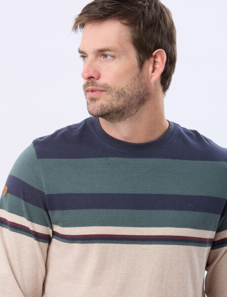 REMERA RAYADA DE ALGODÓN AZUL