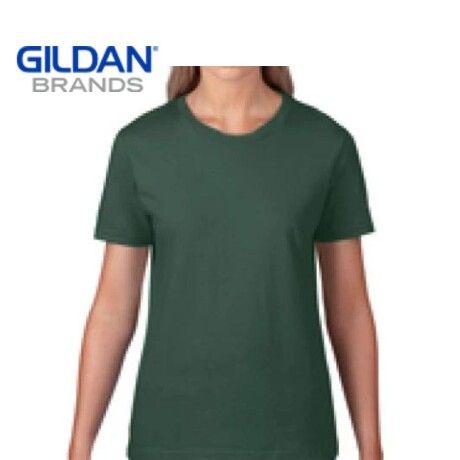 Camiseta Gildan Básica Verde