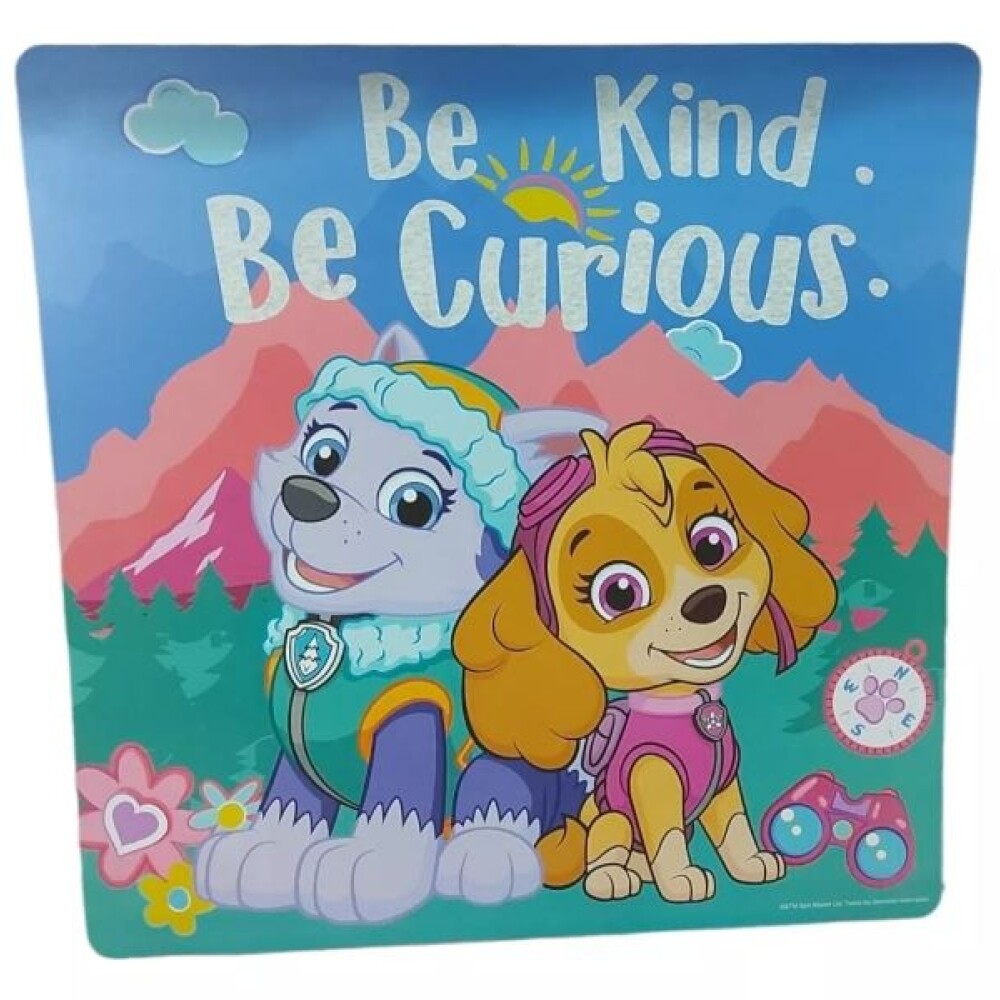 Individual Pp 30x30 Fem Paw Patrol BAZAR INDIVIDUAL PP 30*30 PAW PATROL FEM