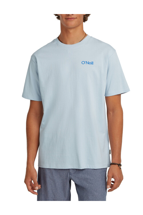 Remera O'Neill Pleasure Point Celeste