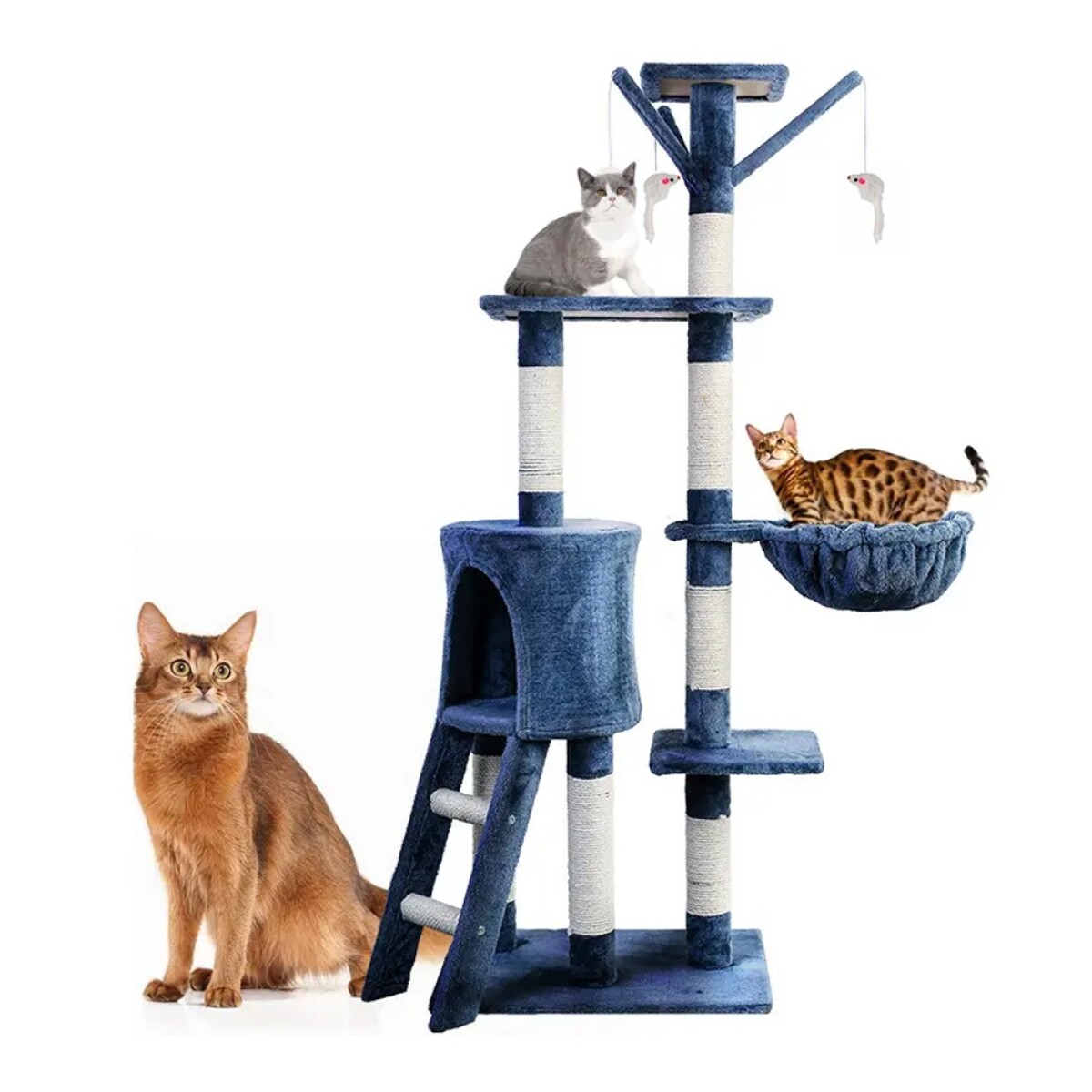 Rascador Torre 5 Niveles en Felpa y Sisal para Gato - Azul 
