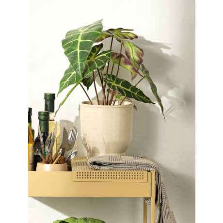 Planta Artificial Marius Ø38Xa42Cm