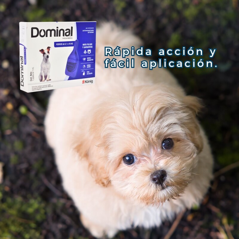 PIPETA ANTIPULGAS Y GARRAPATAS PARA PERROS DOMINAL KONIG DE 5 A 10 KG
