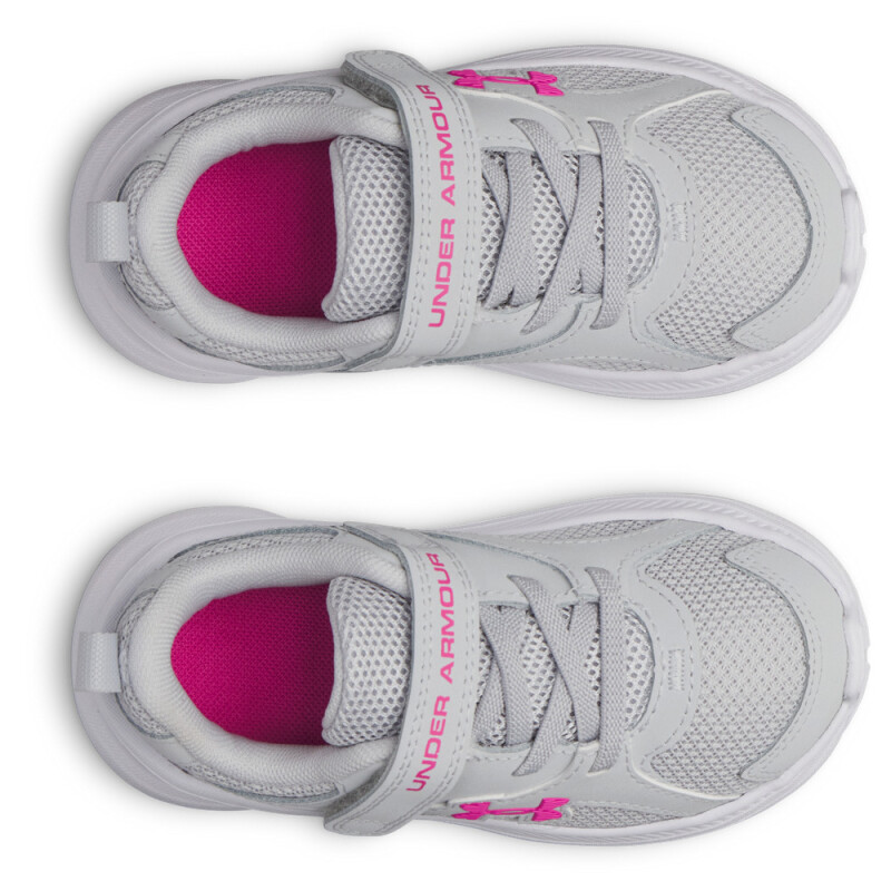 UA GINF Assert 11 AC-GRY GRY-014