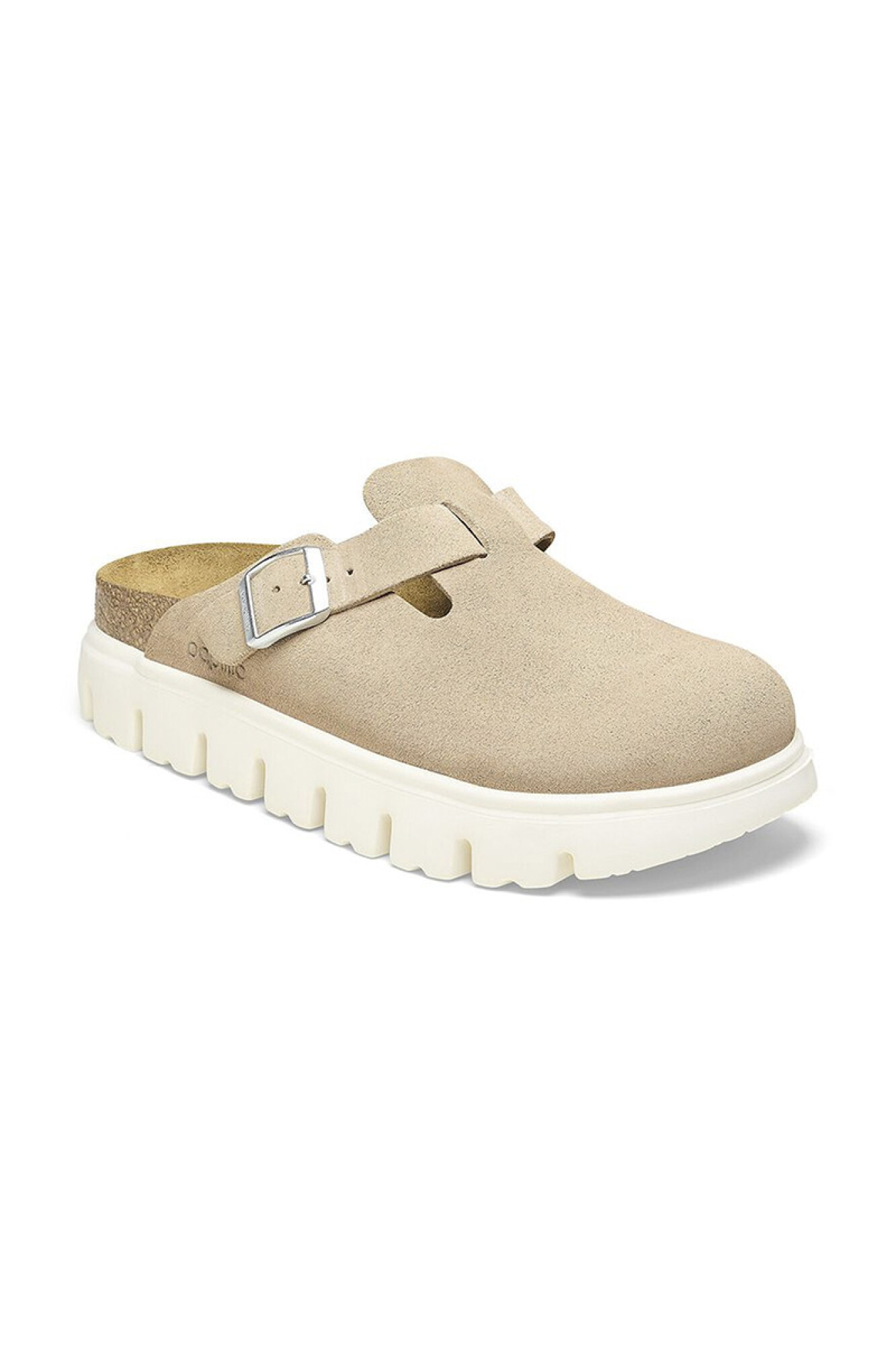 Papillio boston online