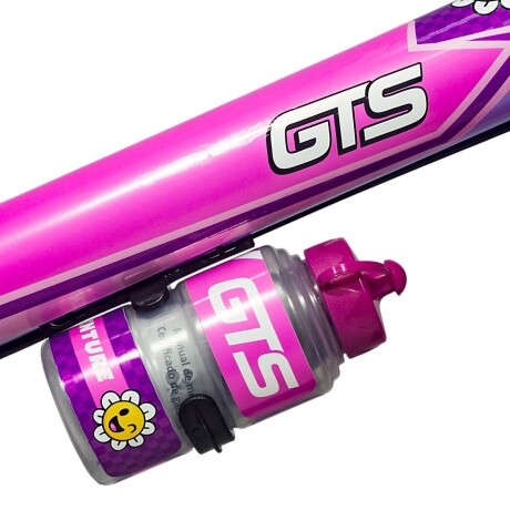 Bicicleta De Paseo GTs ARO16GTS Rodado 16 Con Cantimplora Ub VIOLETA
