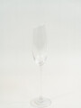 Copa Hemera Champagne Color Unico