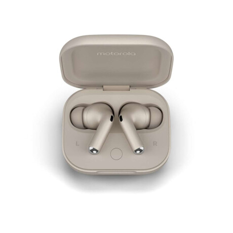 Motorola Moto Buds+ Gris