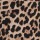 Short Savanna Leopardo