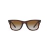 Ray Ban Rbr0502 Wayfarer Reverse 6709/cb