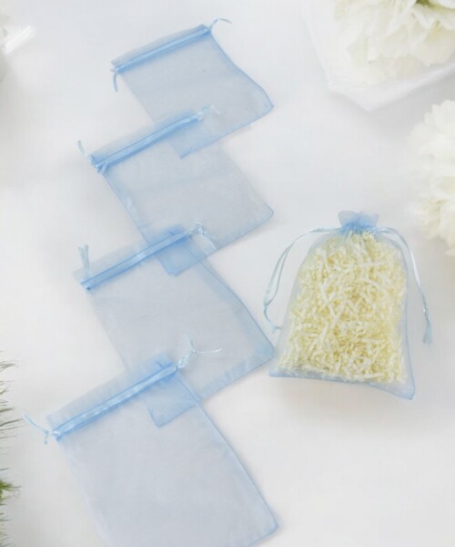 Pack x 100 - Bolsas organza 12x17 cm CELESTE