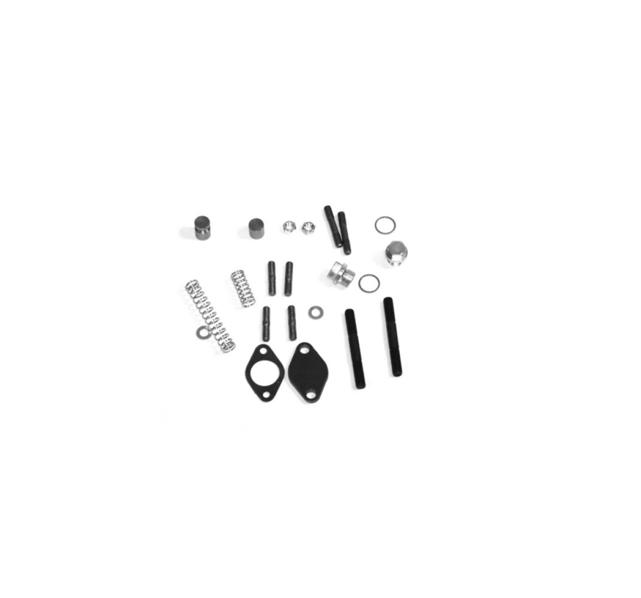 KIT DE TORNILLOS DE ARMADO DE MOTOR T1 (OUTLET) 