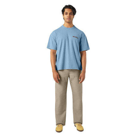 Remera Dickies Slayden Multicolor