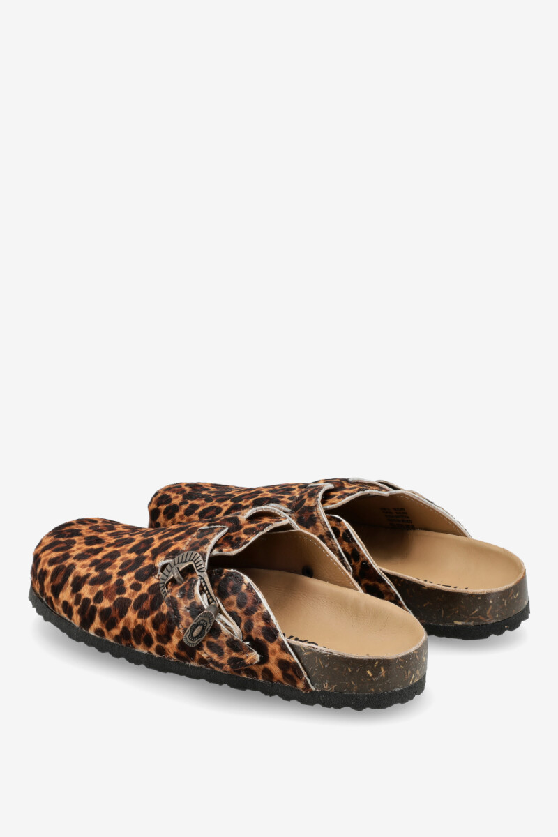 CLOG CORAL Leopardo