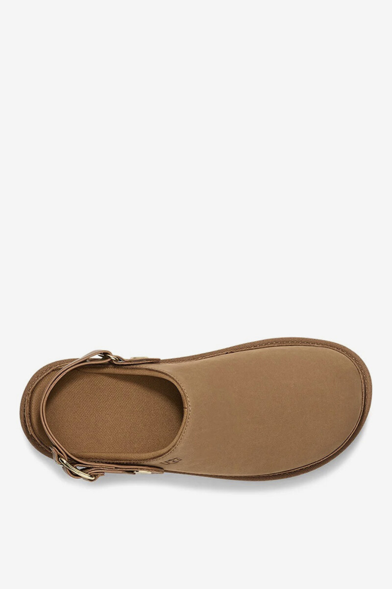 ZUECO GOLDENSTAR Camel