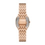 Reloj Skagen Mellem Lille Acero Oro Rosa SKW3166 0
