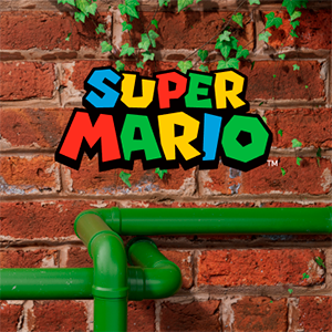 SUPER MARIO CAT