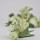 Palillo c/amapola 3x3 cm. VERDE