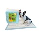 Pañales Entrenamiento Mascota 60x90cm Ultra Absorbente Pack x20 Unid Pañales Entrenamiento Mascota 60x90cm Ultra Absorbente Pack x20 Unid