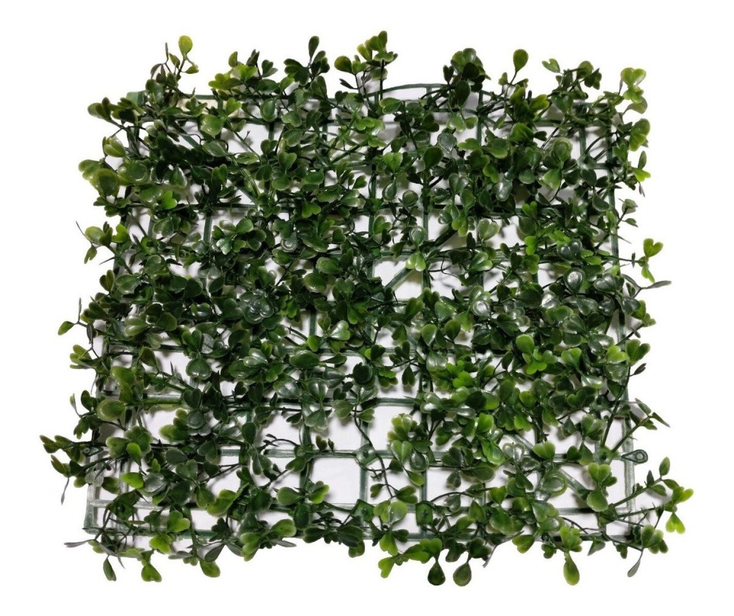 Enredadera Pasto Artificial Muros Jardin Piscina 25x 25cms - Variante Color Verde Oscuro 