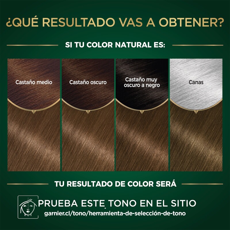 Tinta Garnier Nutrisse Oleos N°6.0 Rubio Oscuro Tinta Garnier Nutrisse Oleos N°6.0 Rubio Oscuro