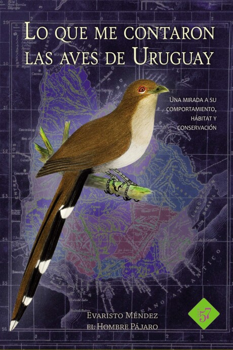 QUE ME CONTARON LAS AVES DE URUGUAY LO QUE ME CONTARON LAS AVES DE URUGUAY LO