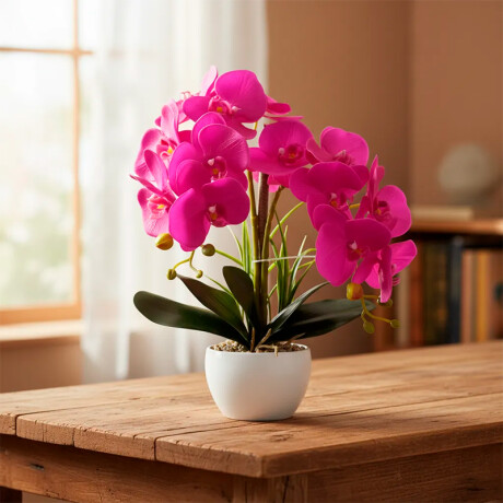 Orquidea Con Maceta Blanca Fucsia