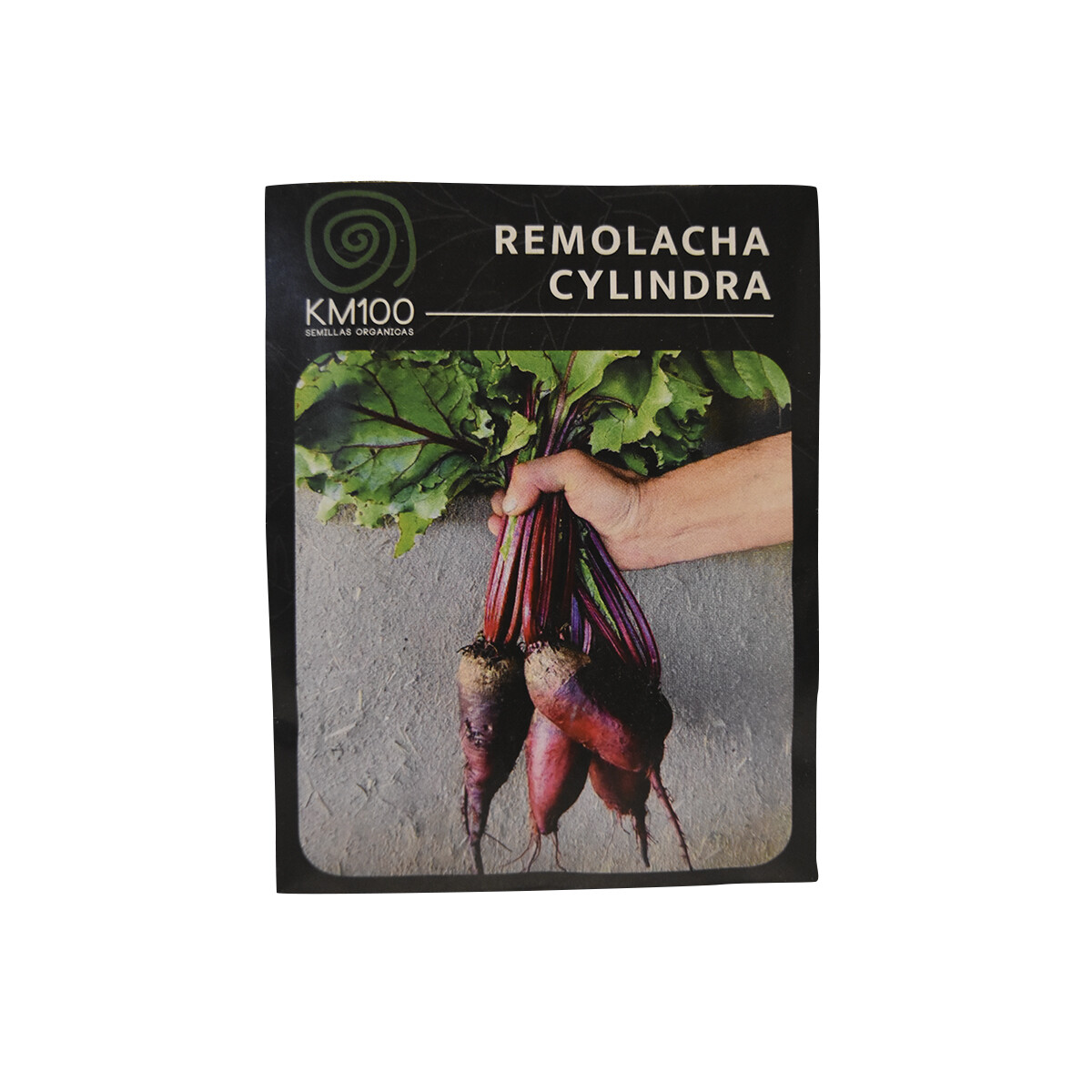Semillas autocultivo de remolacha cilindra KM100 