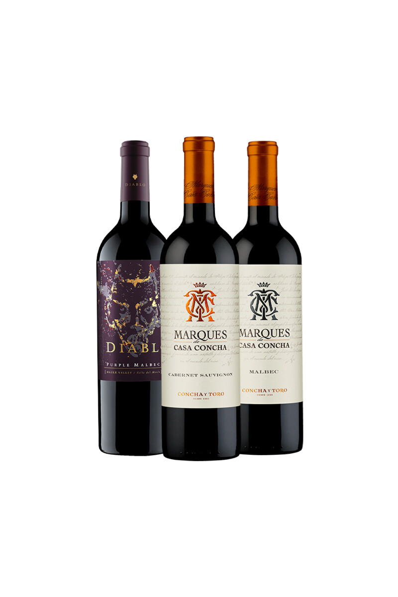 Pack Bacán Selección Mapa del Sur x3 vinos Perfil Chileno 