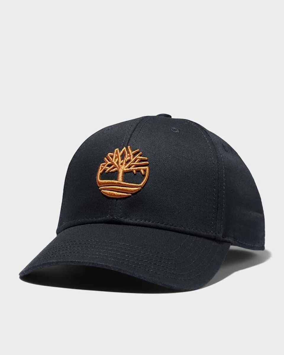 Gorra Bordada Unisex - Black 