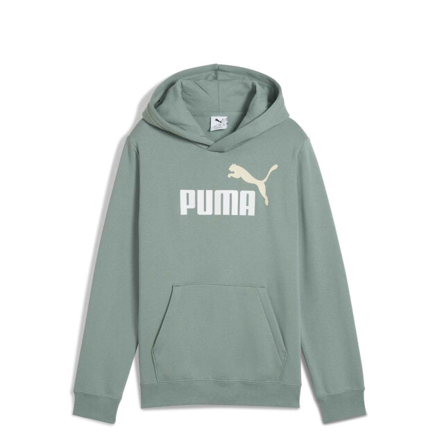 Buzos Puma Logo Hoodie Masculino Verde