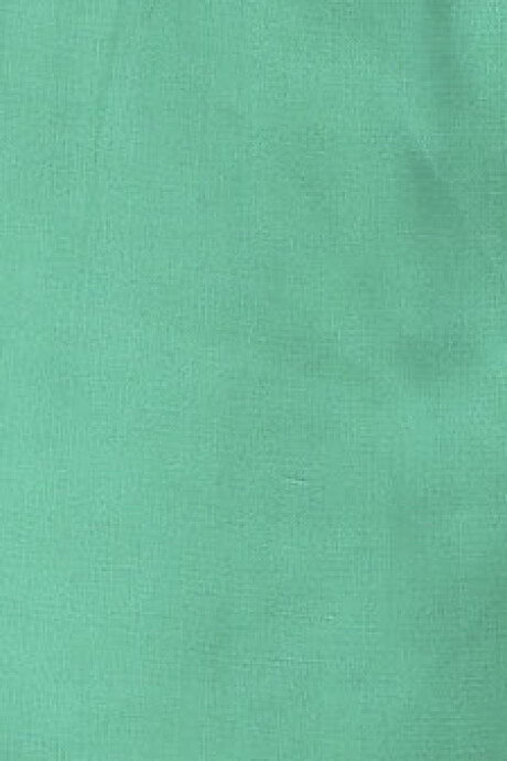 POLLERA PASIONARIA Verde