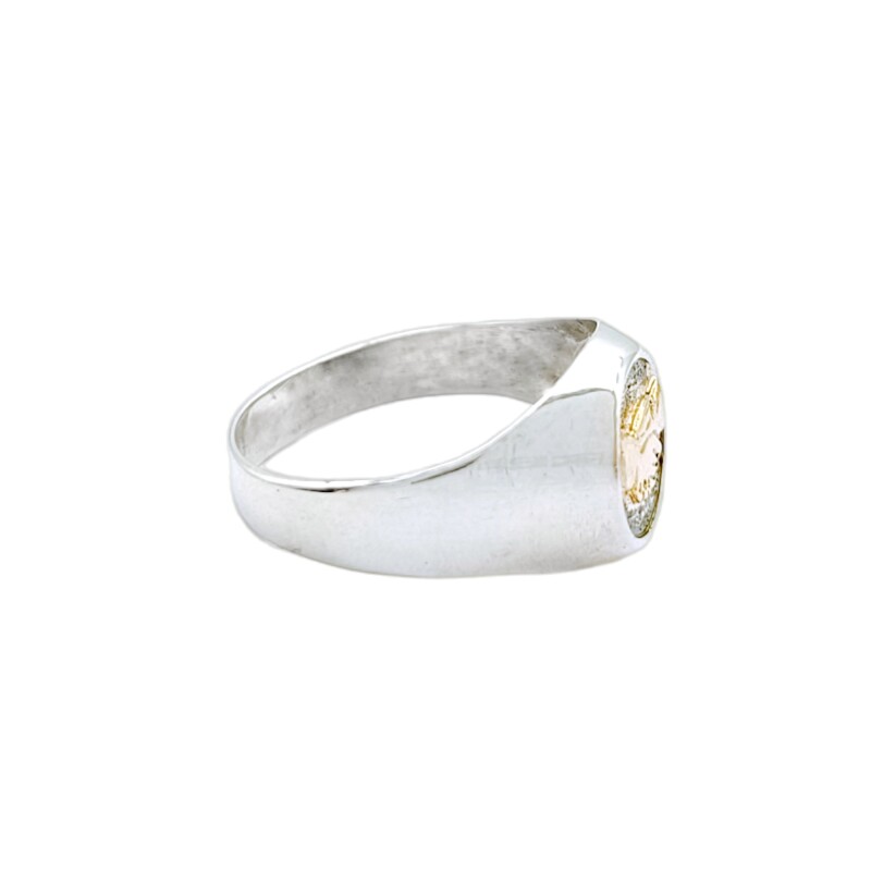 Anillo Profesión Asistente social-Plata y Oro-Sin Piedra-AP5000 Sinpiedra