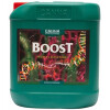 ESTIMULADOR EXPLOSION FLORACION CANNA BOOST 5LT ESTIMULADOR EXPLOSION FLORACION CANNA BOOST 5LT