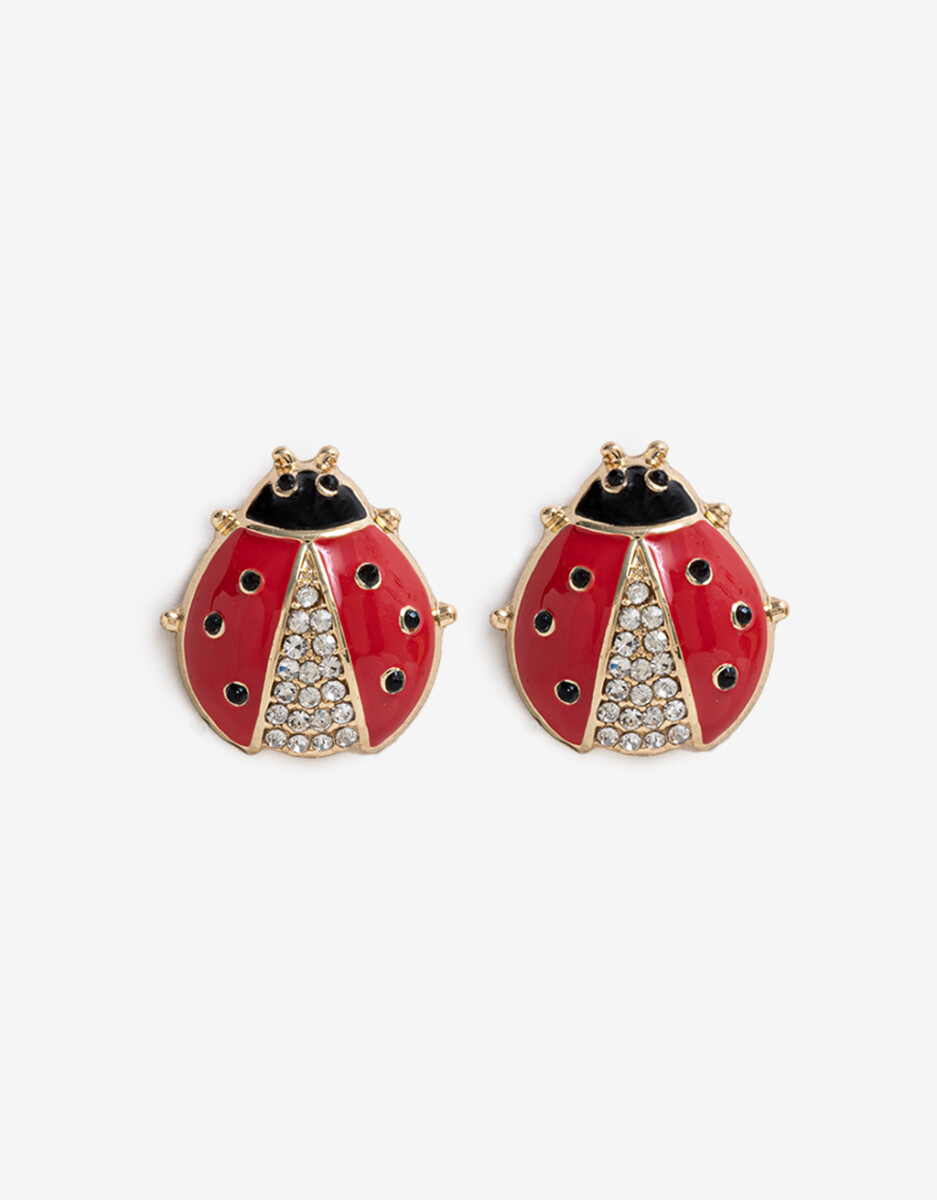 Aros Pasantes Lady Bug 