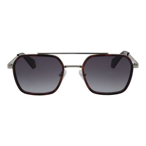 Lentes de Sol Chilli Beans Dakota Animal Print
