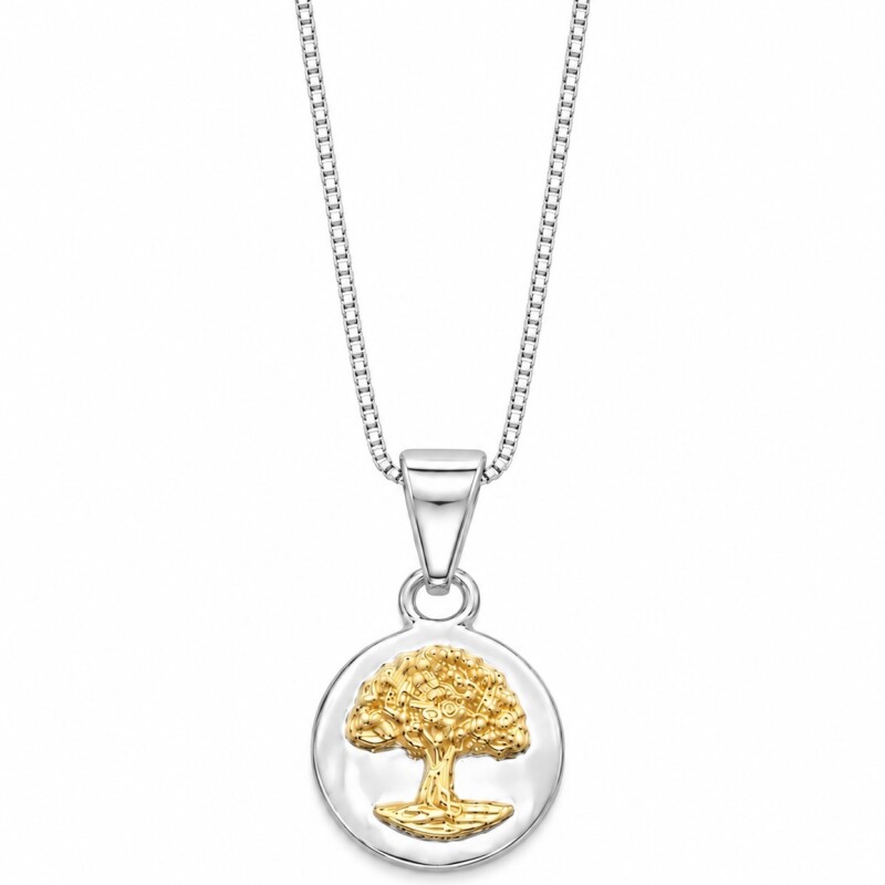 Conjunto cadena y medalla árbol de la vida Conjunto cadena y medalla árbol de la vida
