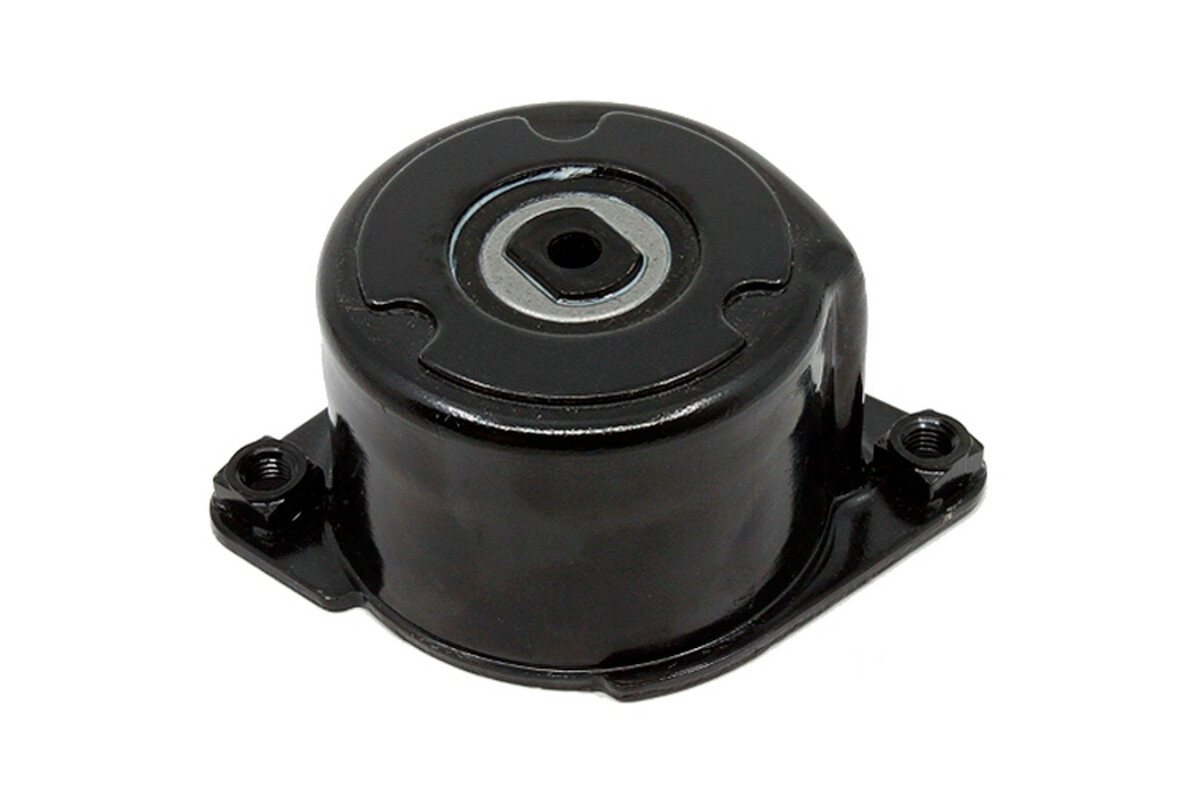 Tensor De La Correa BMW 330Xd (E46)/X3 Diesel (E83)/530D (E60)/330D (E90) 03-11 Tensor De La Correa BMW 330Xd (E46)/X3 Diesel (E83)/530D (E60)/330D (E90) 03-11