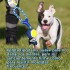 JUGUETE CON CUERDA Y PELOTA PARA PERROS JUGUETE CON CUERDA Y PELOTA PARA PERROS