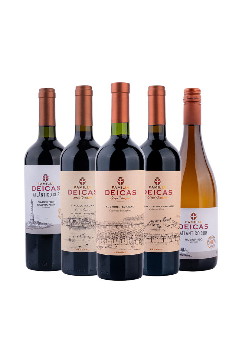 Pack Bacán Selección Vendimia x5 vinos Bodega Familia Deicas 