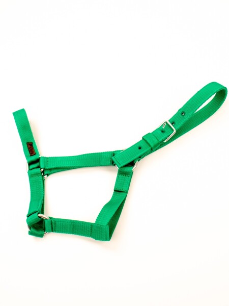 bozal de cinta Verde