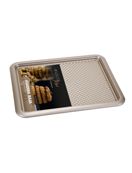 PLACA HORNO ACERO 46.5x33x2CM ESP 0.5MM CHAMPAGNE PLACA HORNO ACERO 46.5x33x2CM ESP 0.5MM CHAMPAGNE