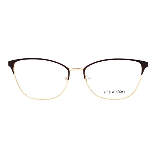 IV050133 marróncombinado