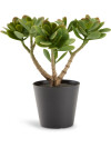 Planta artificial JOSTEIN H23 cm verde Planta artificial JOSTEIN H23 cm verde