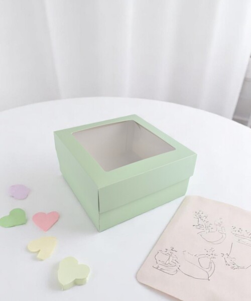 Caja 20x20x9,5 c/visor. VERDE AGUA