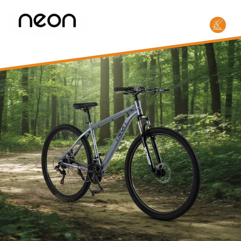 Bicicleta Montaña Bike Ruta R29 Freno Disco Acero Gris