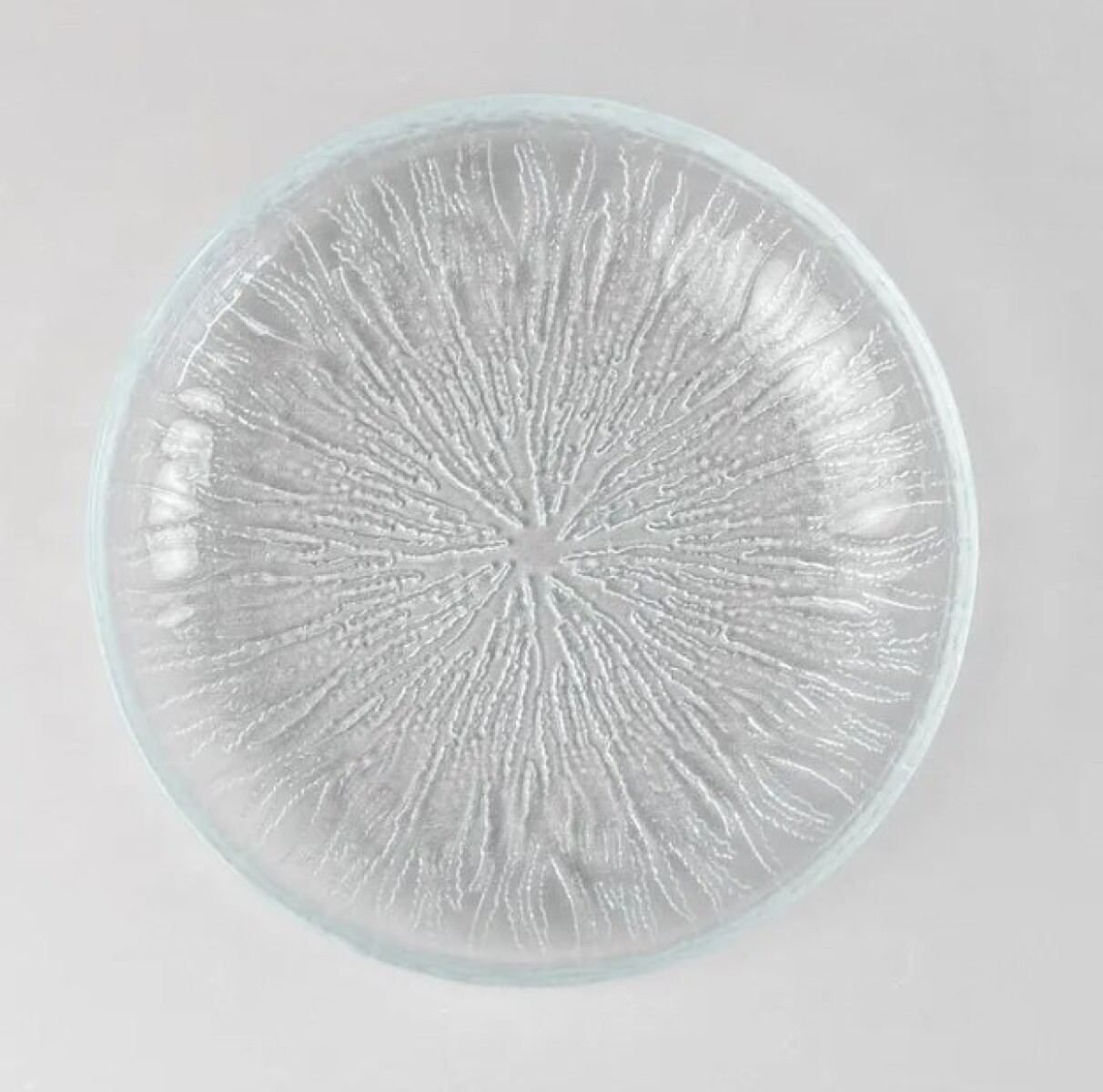 Plato Hondo 19cm Fladen Turquía 