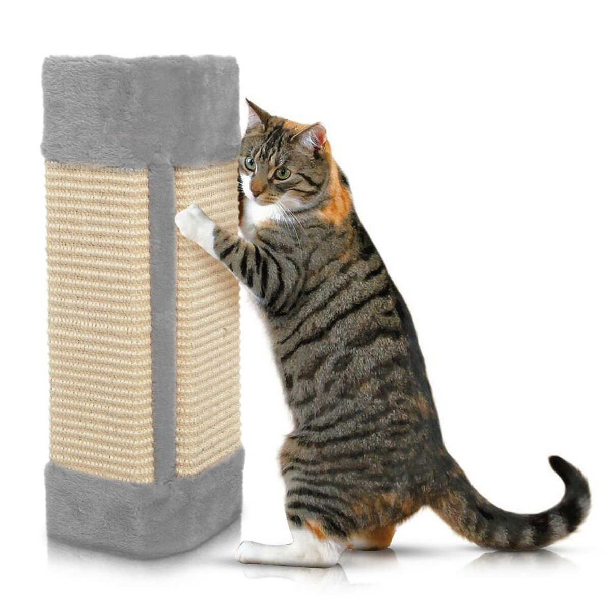 Rascador Gato Sillon Amurar Pared Tornillos Pom Pom Juguete - Variante Color Gris 