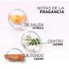 Serum Glycolic Gloss Elvive 100 Ml Serum Glycolic Gloss Elvive 100 Ml